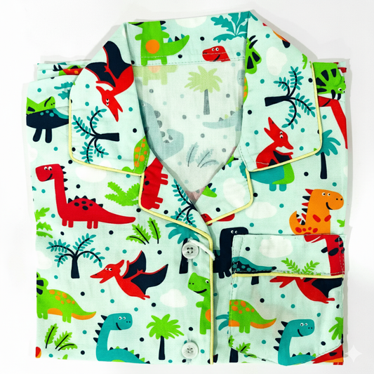 Friendly Colorful Dino Night Suit